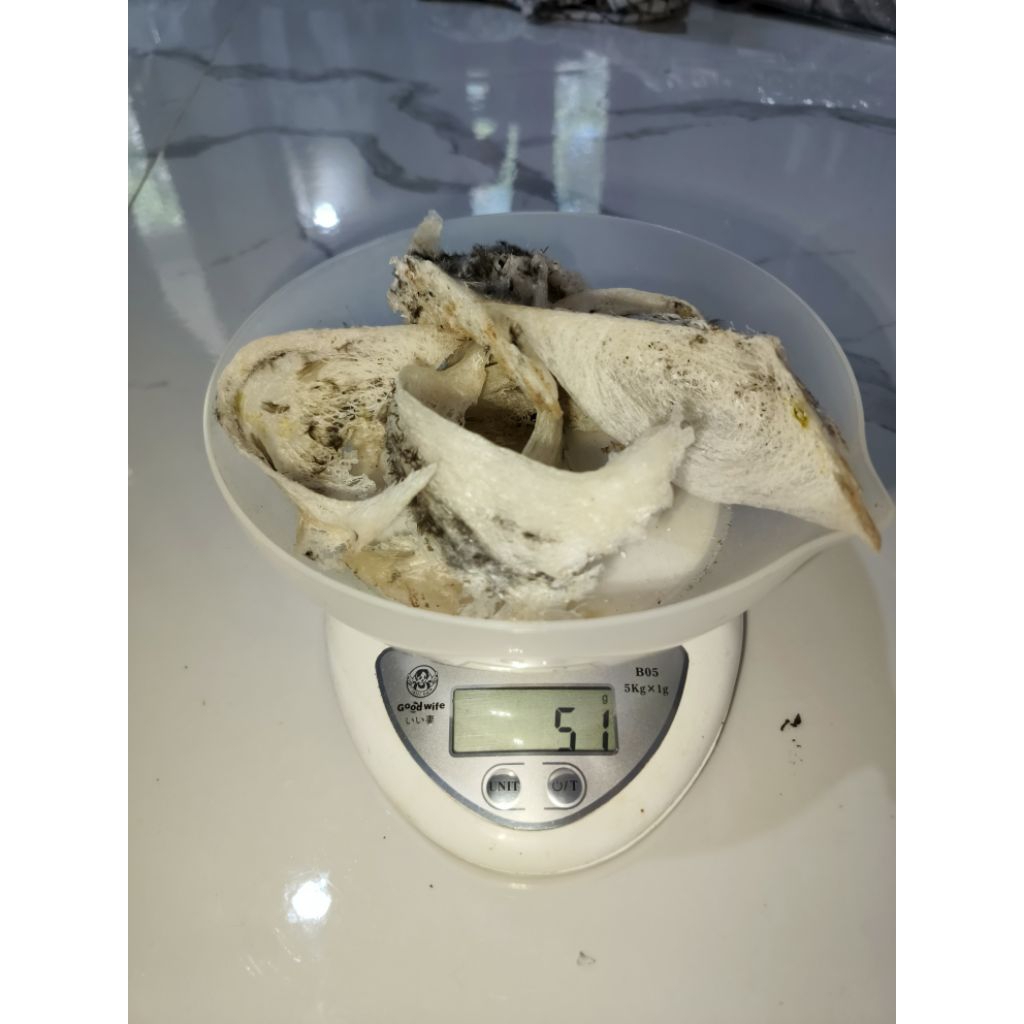 

Sarang Burung Walet Kalimantan