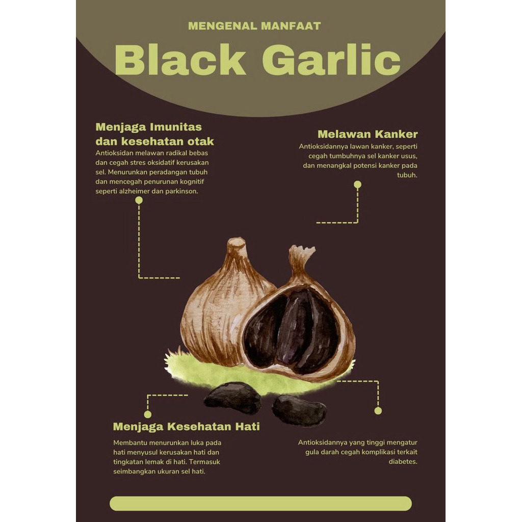 

Bawang Hitam 200gr – Jaga Imun & Kesehatan Tubuh