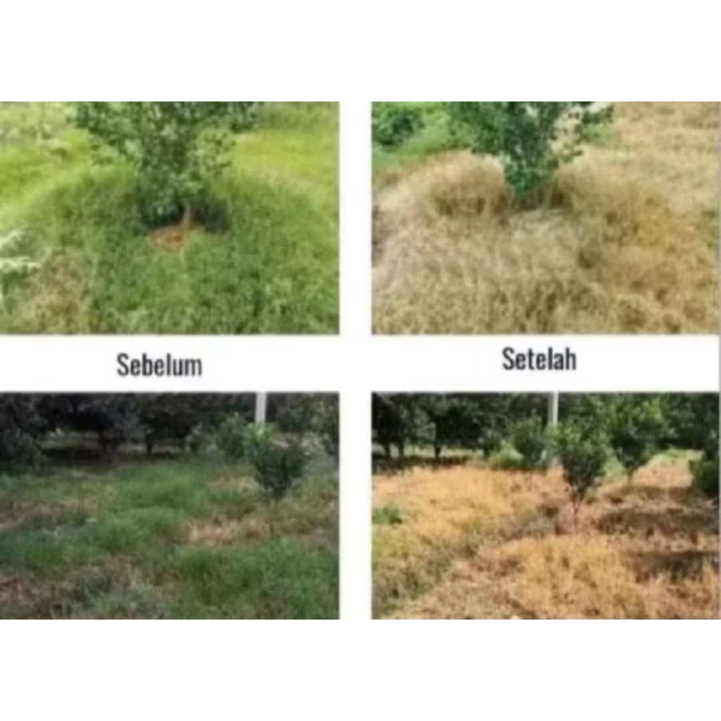 Obat Rumput Mitra Tani Pembasmi Rumput Bisa Cod