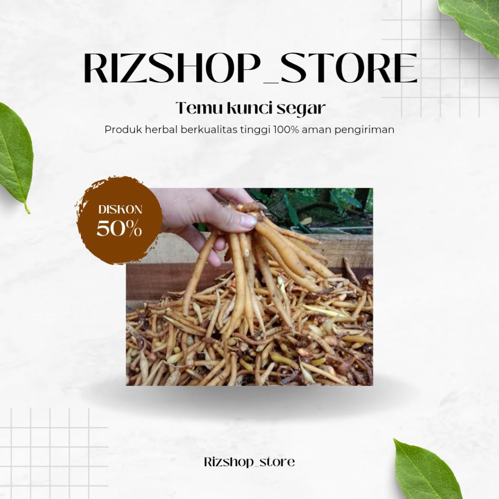 

Temu kunci segar 2 kg siap kirim