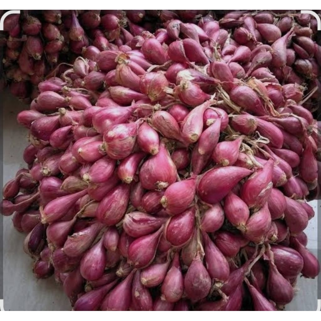 

BawangMerahBerebes250Gram