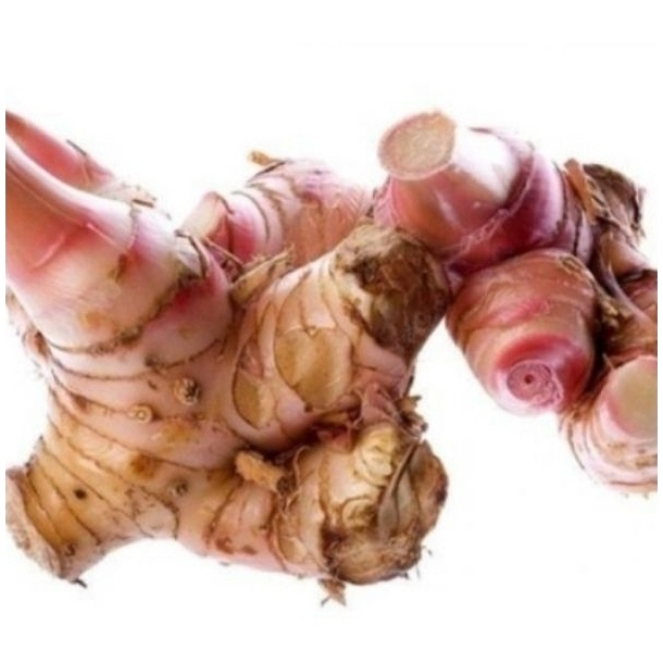 

LENGKUAS SEGAR ASLI / LAOS FRESH SEGAR terlaris berkualitas 250 Gram