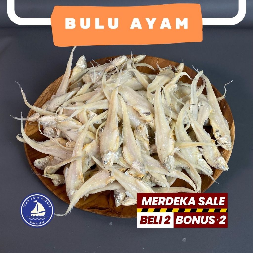 

Ikan Asin Gresik Bulu Ayam rasa asin gurih Kemasan 500gram