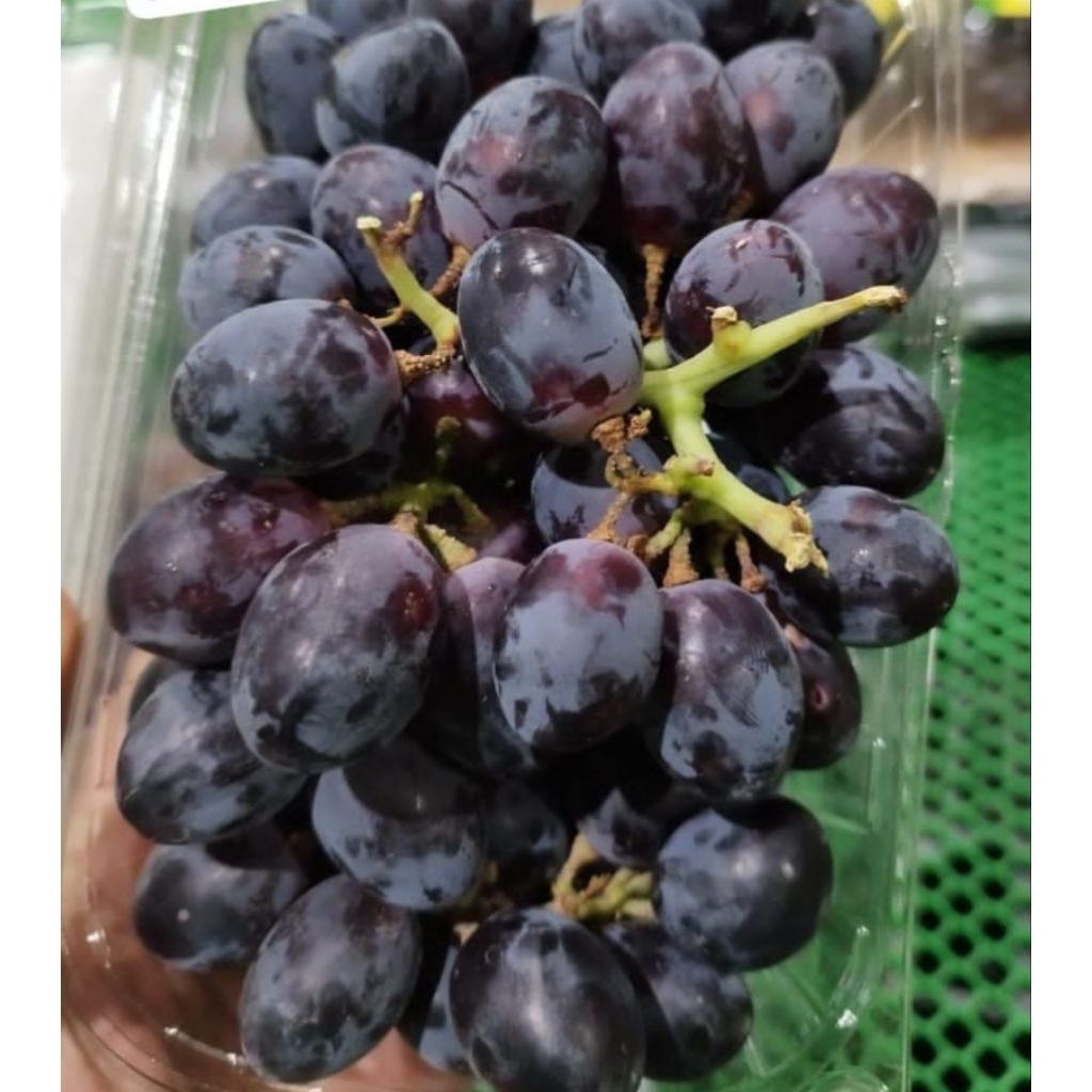 

Anggur Autumn Royal Seadless 500gr