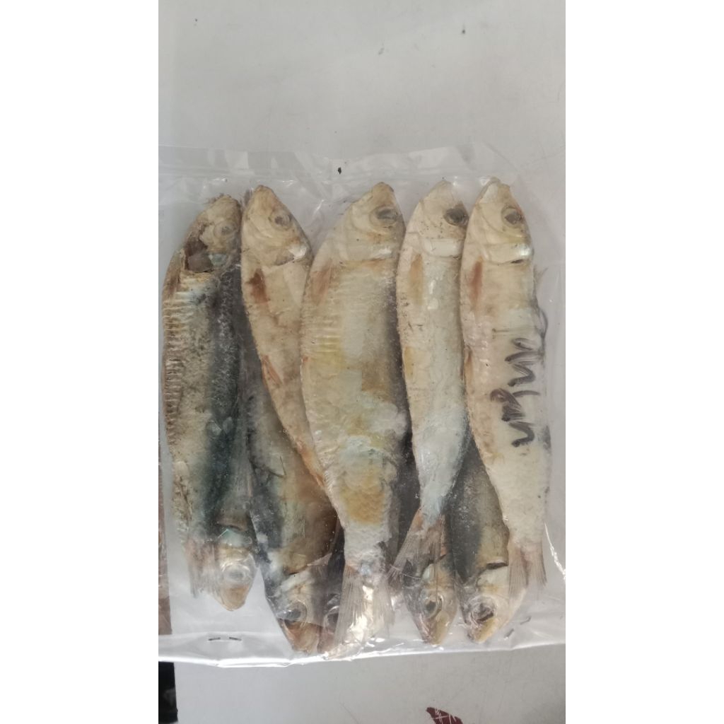 

Ikan asin anjun Rp. 3000/70gram/bungkud