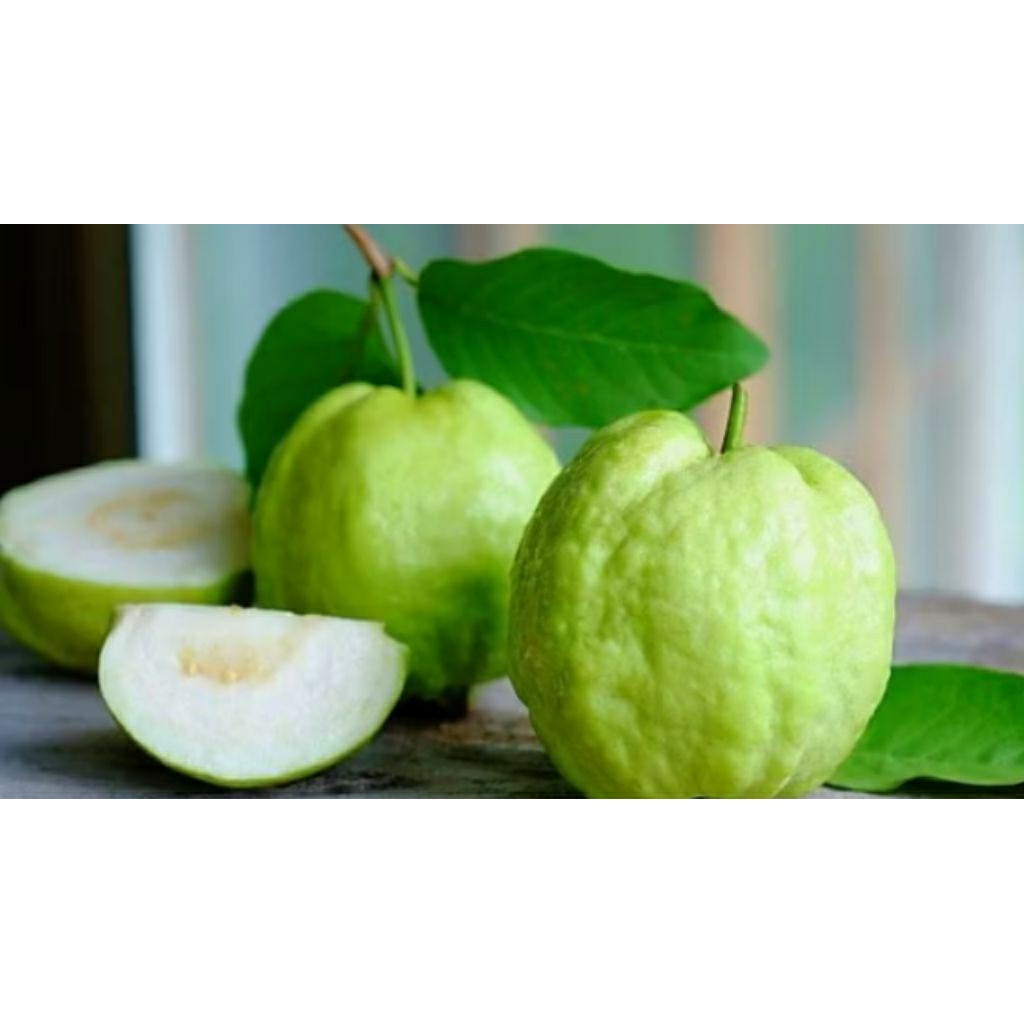 

jambu kristal kemasan 2 kg