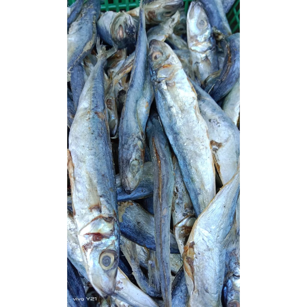 

ikan asin benggol 500gram#ikan asin asli tanpa bahan pengawet