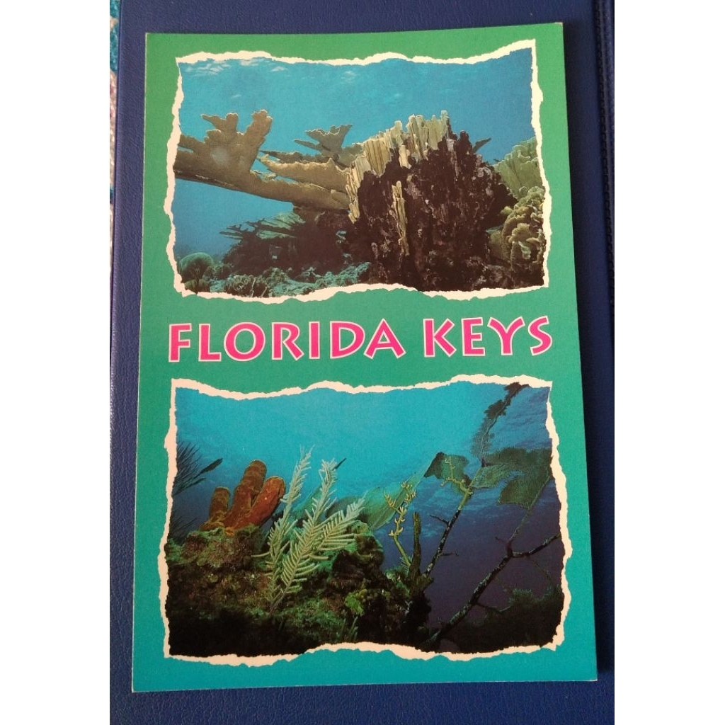 

Kartu Pos Jadul LN Florida Keys