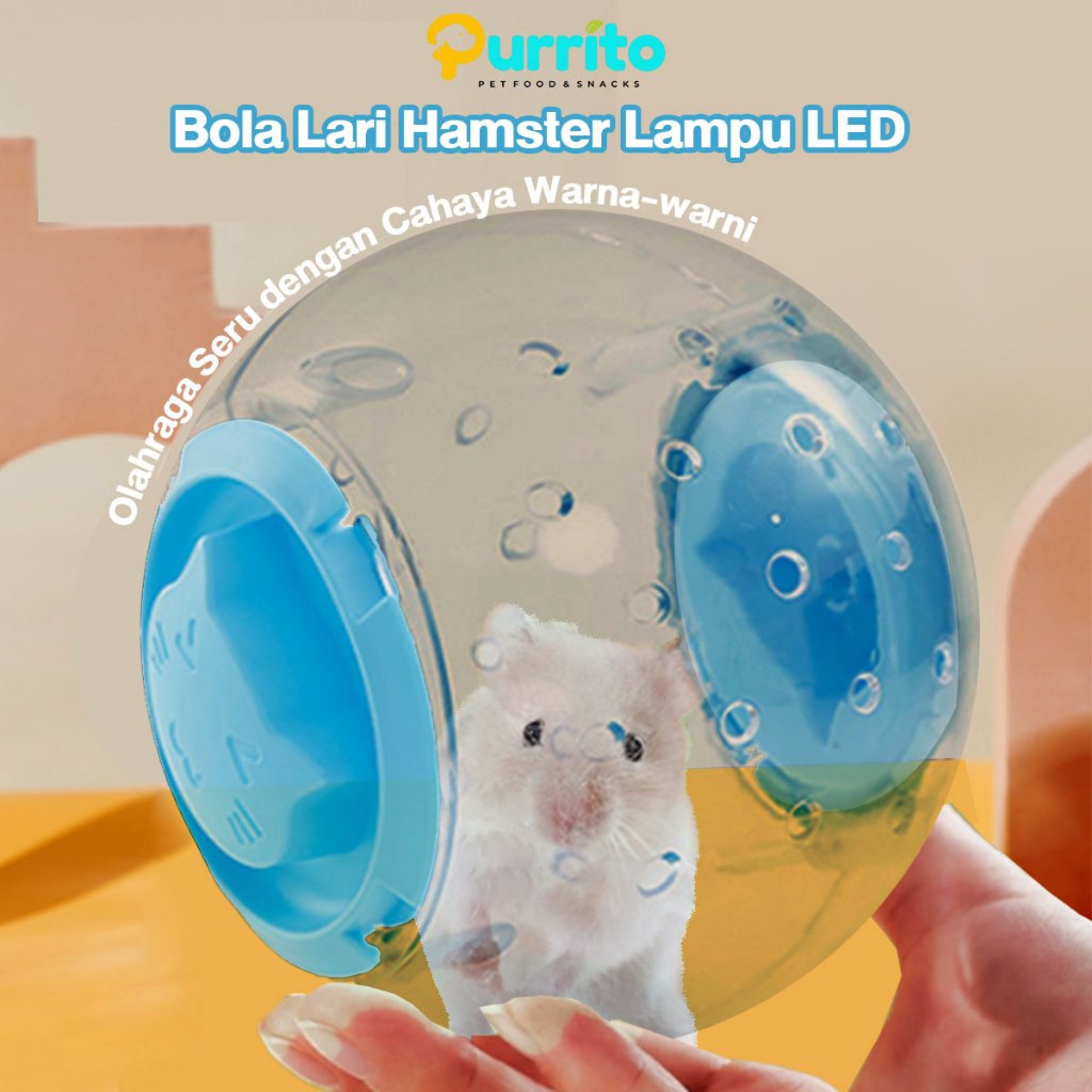 Purrito Bola Lari Hamster XL Tebal Glow Transparan Mainan Hamster Landak Sugar Glider