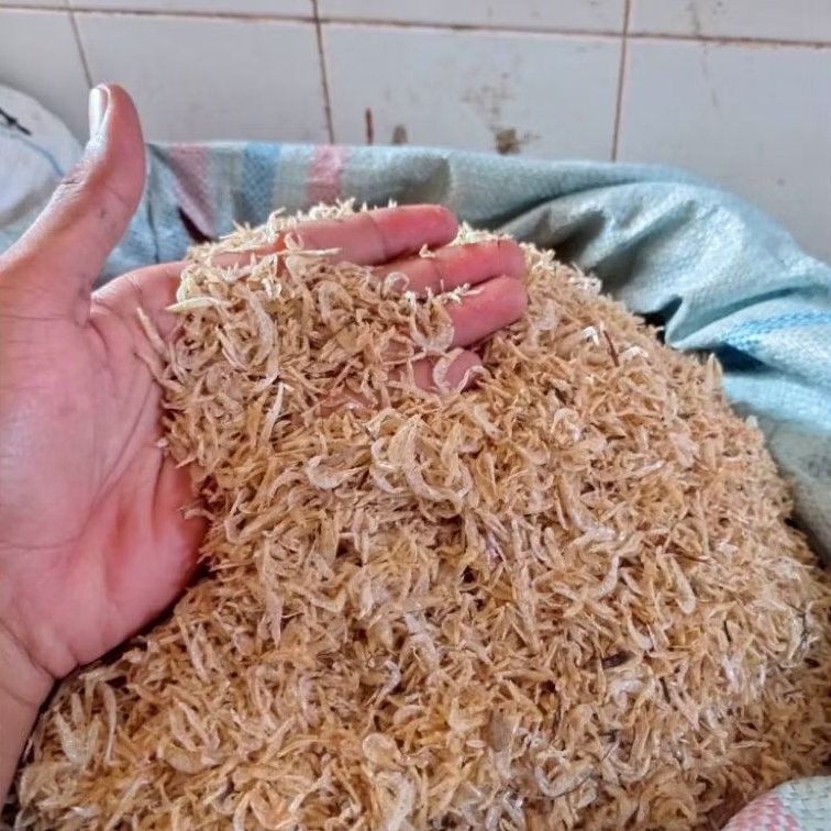 

UDANG REBON TAWAR KERING 1/2 & 1 KG (500 - 1000 GRAM)