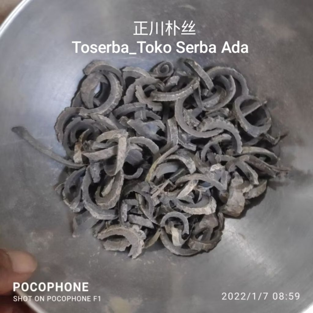 

100gr Herbal Zheng Chuan Pu Si Hou Pu Houpoea Officinalis Cortex Magnolia Officinalis Premium Grade