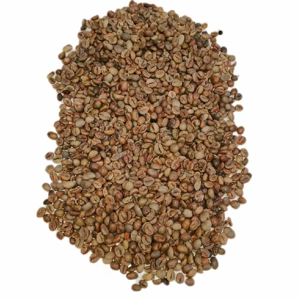 

Kopi Robusta Biji Kopi Mentah Berbentuk Berasan Belum Di Goreng Ukuran 1Kg