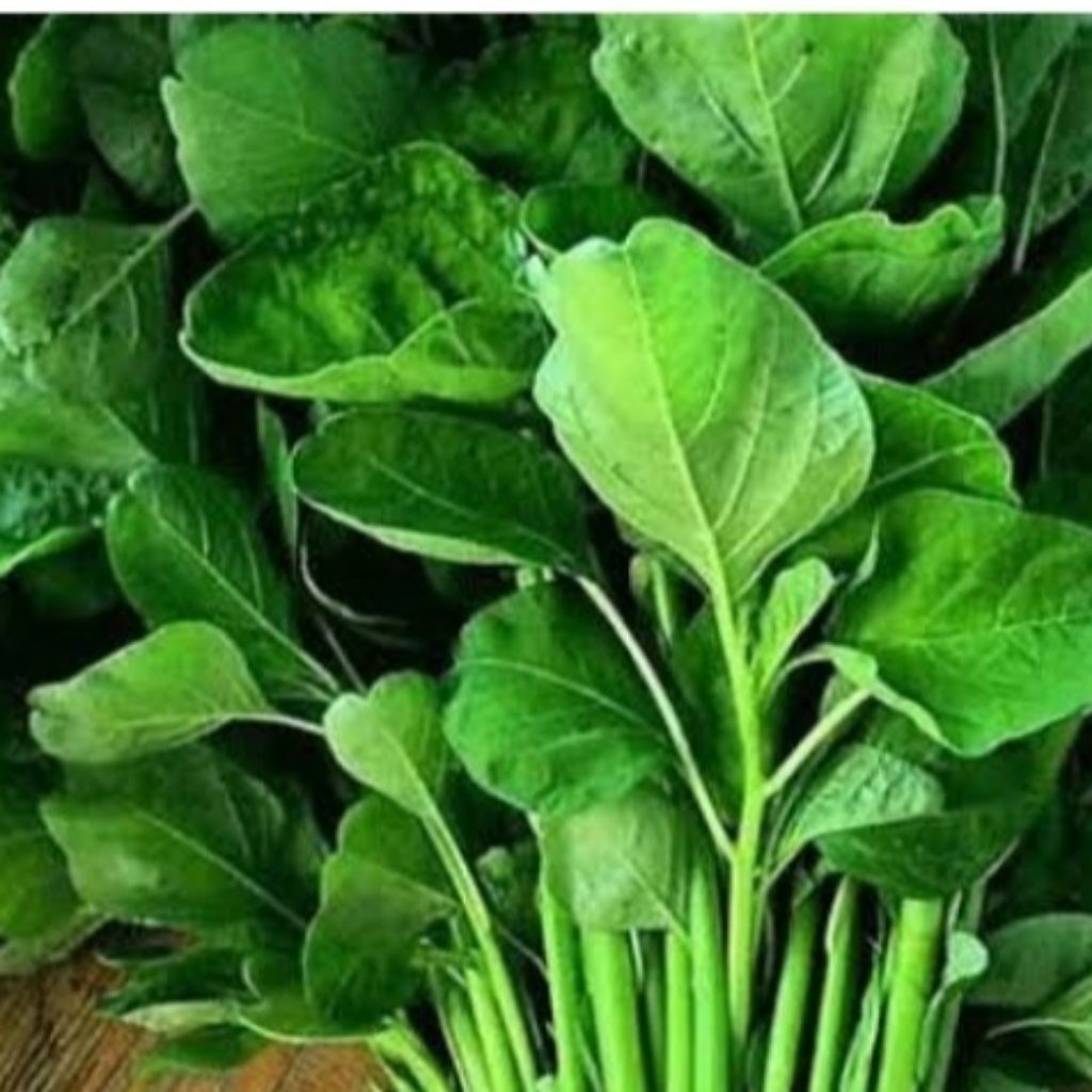 

1 ikat sayuran bayam