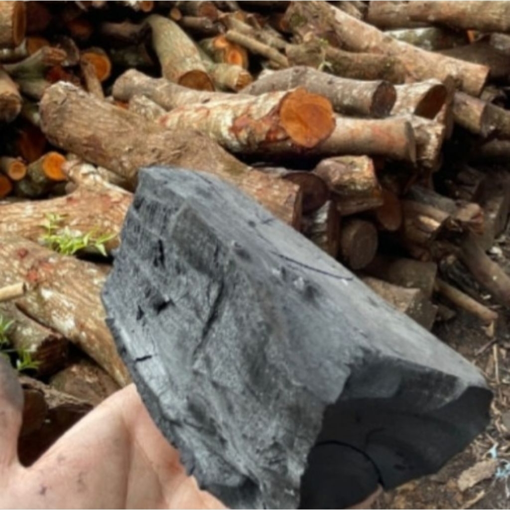Arang Kayu Keras / Hardwood Charcoal
