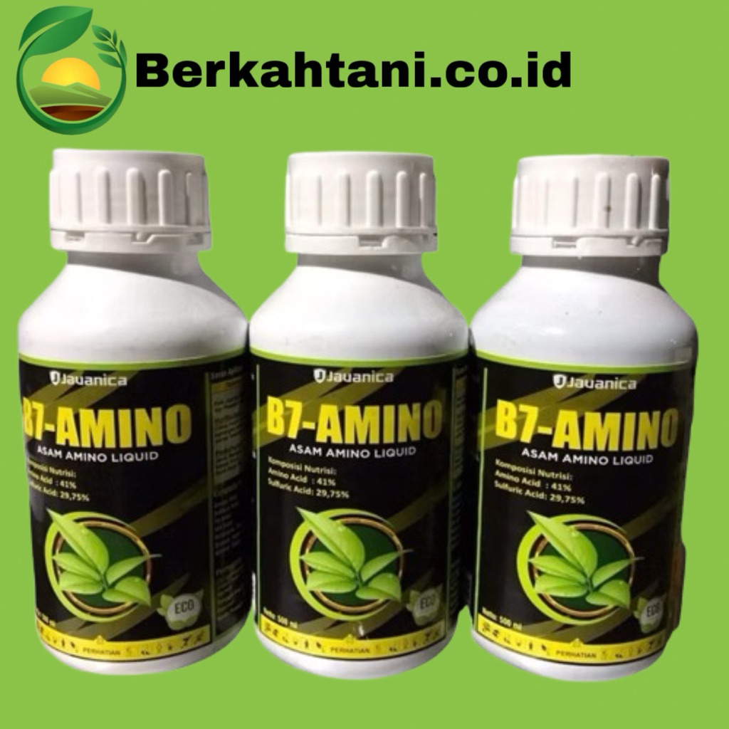 B7-Amino 500 ML Asam Amino Liquid Dari Javanica Vigorin