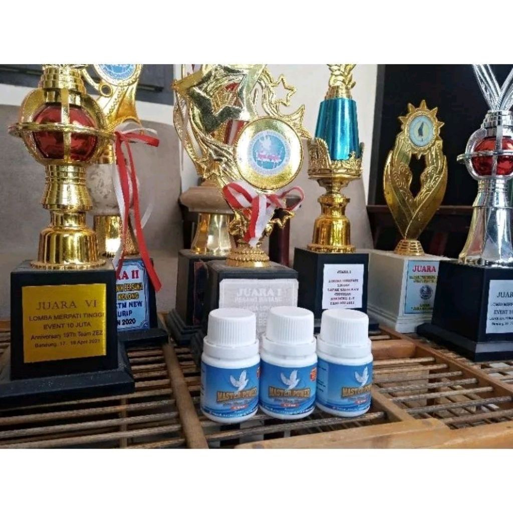 JAMU MERPATI MASTER POWER UNTUK MERPATI KOLONGAN satu perbotol