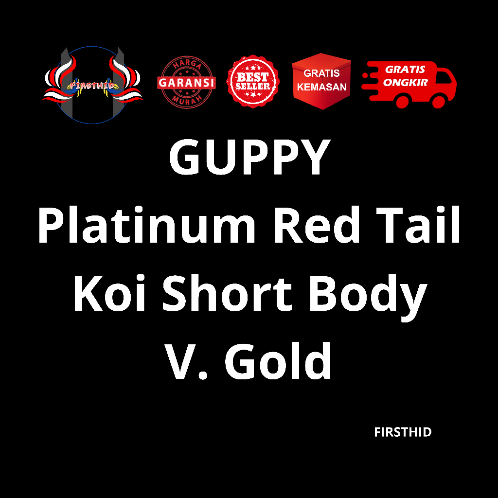 (BEST SELLER) Aksesoris Akuarium GUPPY PRT Koi SB versi Gold Platinum Red Tail Koi Short Body gen ca