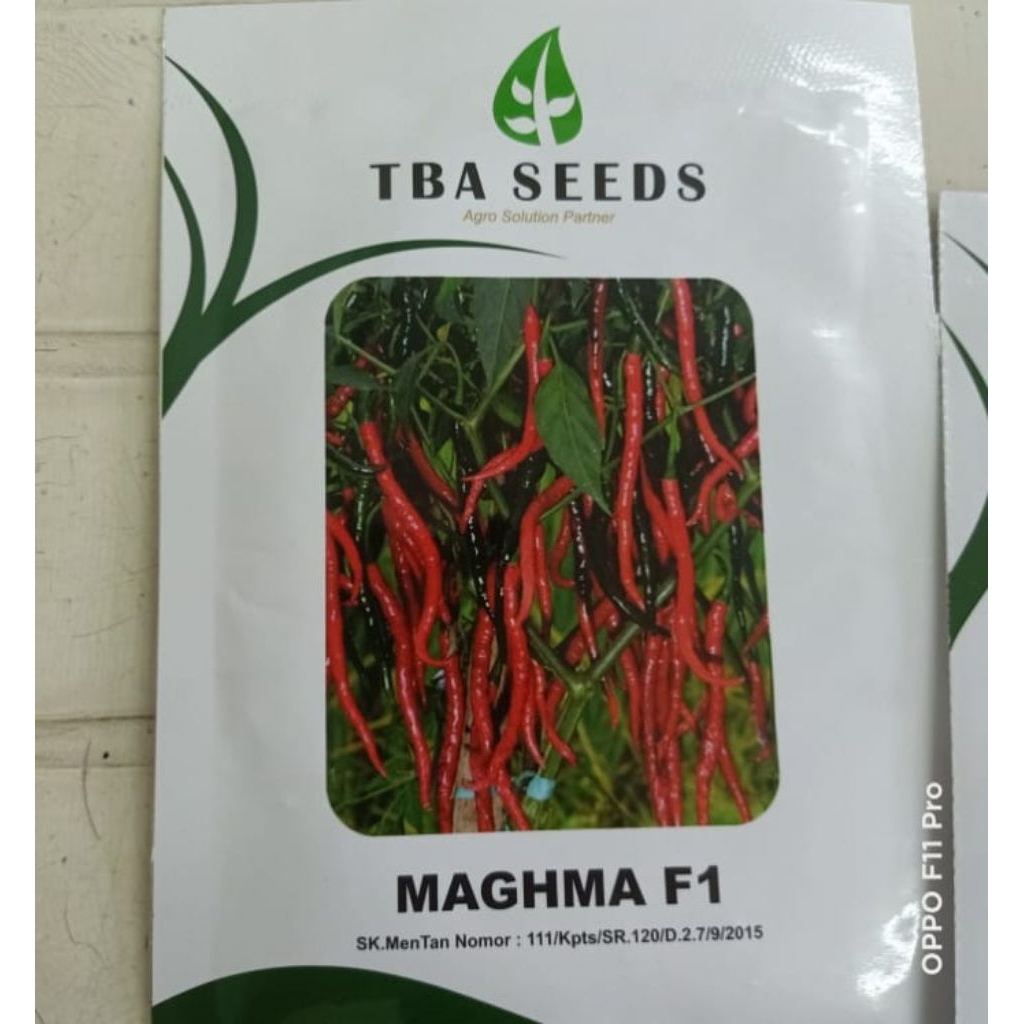Benih cabe maghma F1 10 gram