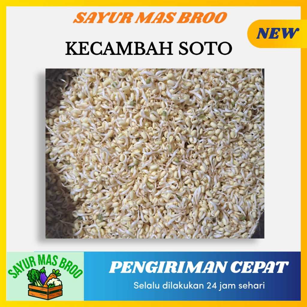 

Kecambah Soto - Toko Sayuran Mas Broo Palembang