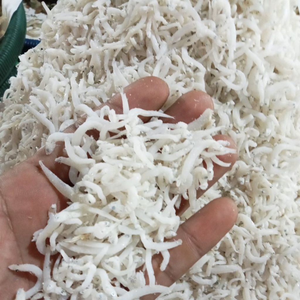 

Ikan Teri Medan ♛ Teri Nasi Kualitas Premium