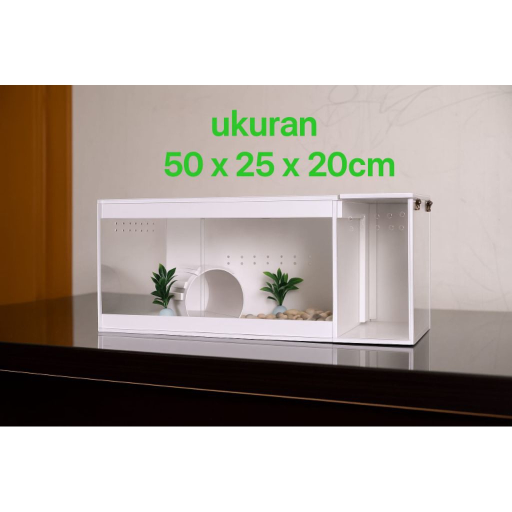 kandang gecko/kandang reptile plus tempat pakan hidup ukuran L 50x25x20cm