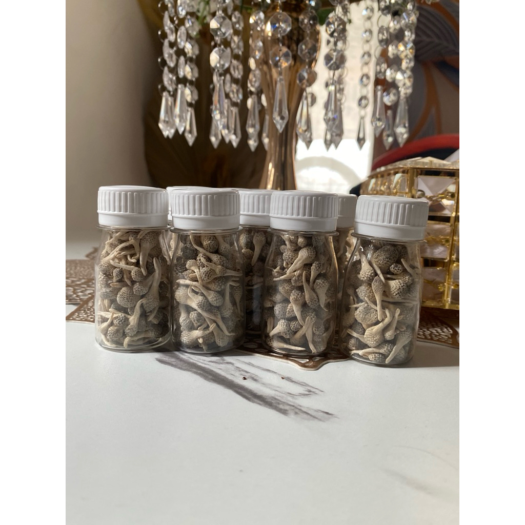 jamu Mpot putih by mama zio