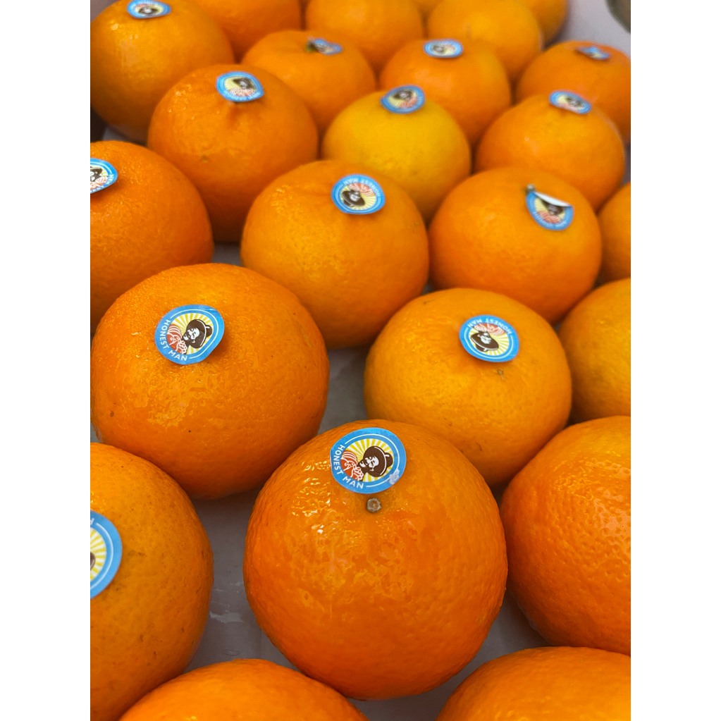 

Jeruk Wogan Honestman