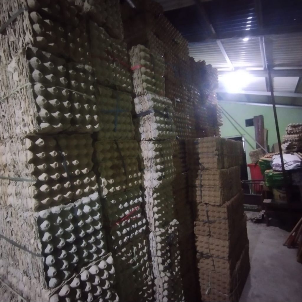 Tray Telur Ayam Bekas