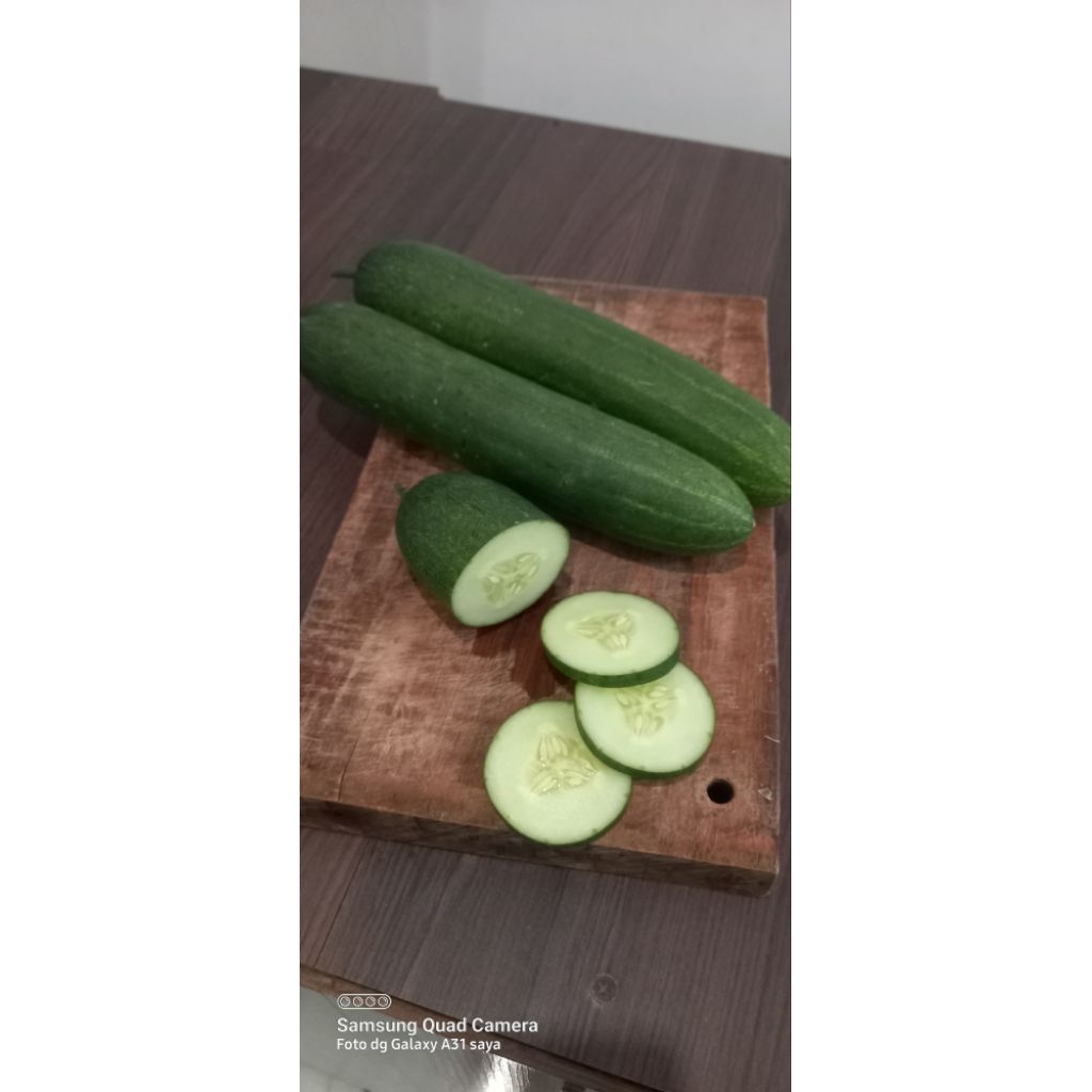 

Timun Lalapan Fresh Timun Jepang 1 Buah Tanpa Pahit 350-450 gram