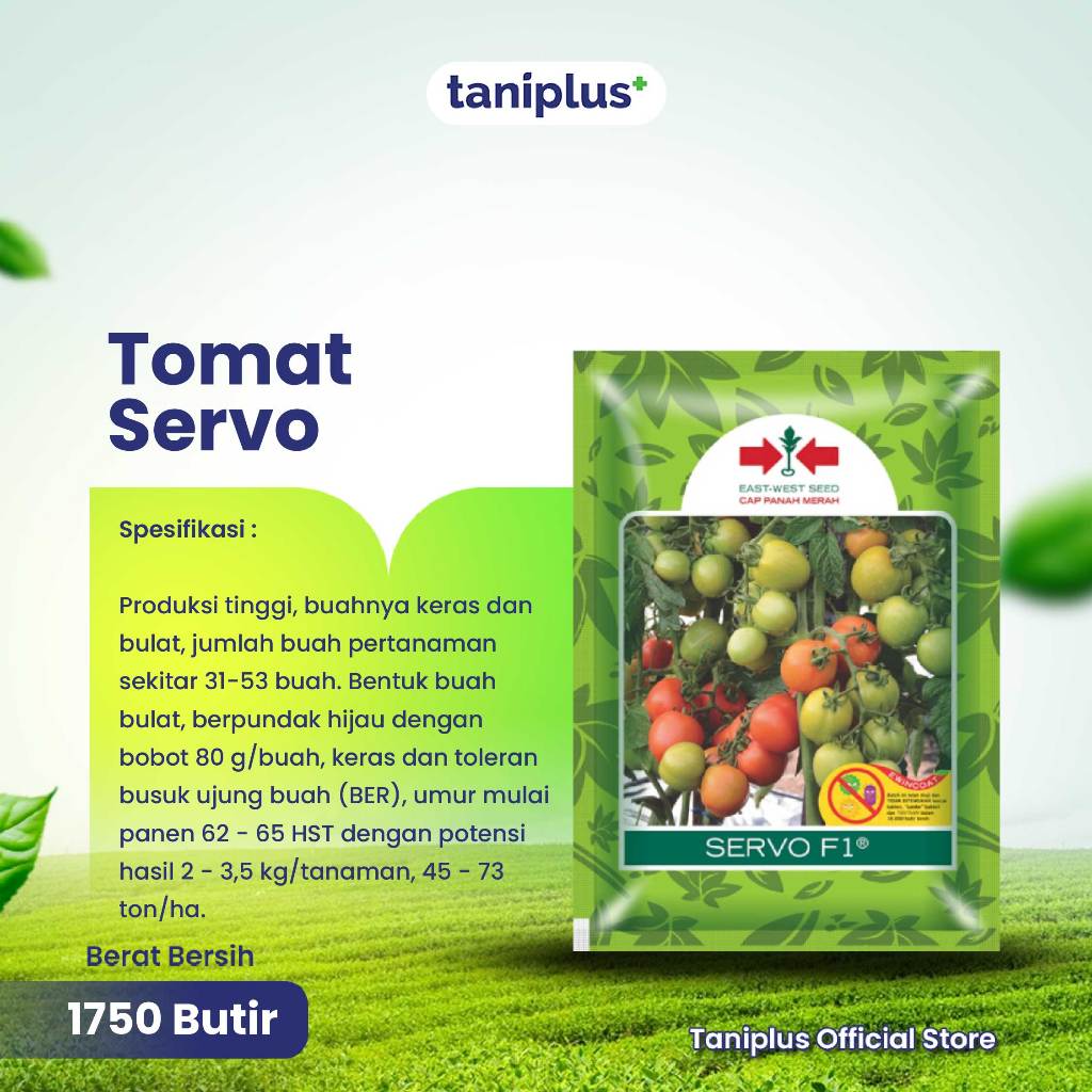 

Tomat Servo 1750 Butir- Benih Hortikultura