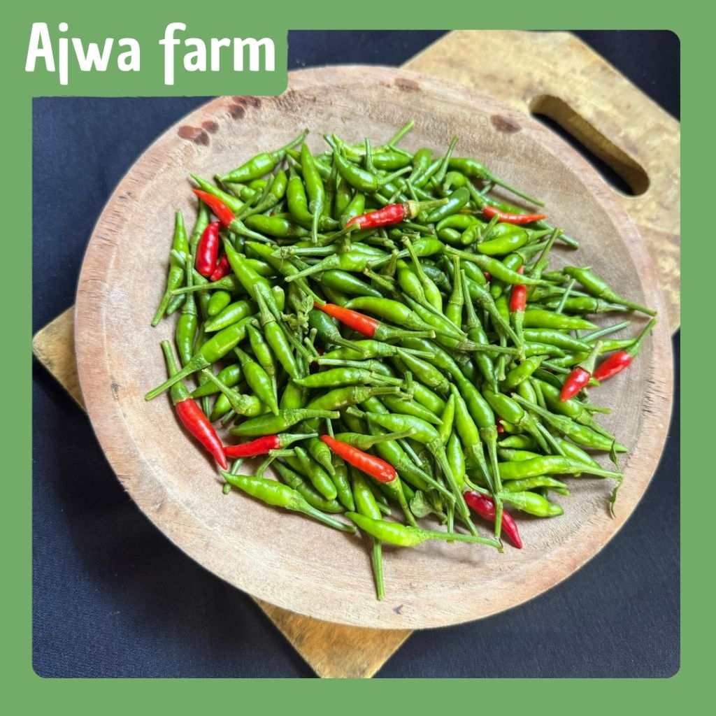 

(AJWA FARM) Cabe Rawit kecil fresh