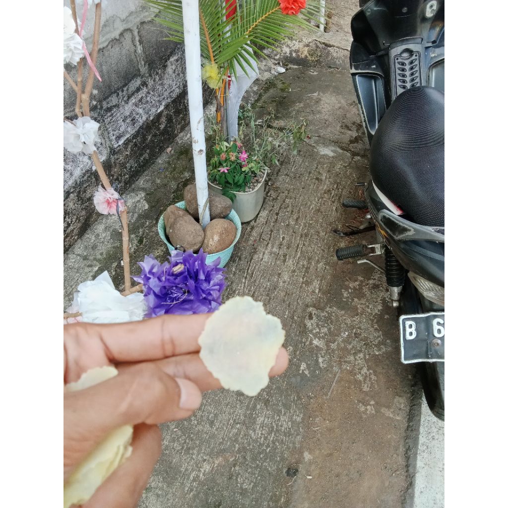 

kemasan 500gram emping fuul kering, biji(1) kecil siap di goreng, bisa di kasih rasa,(asin,manis,pedas)