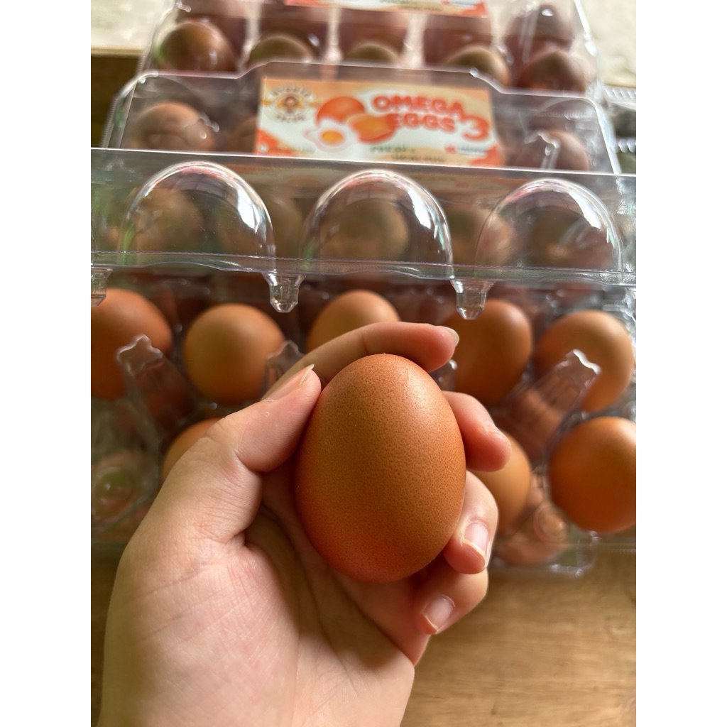 

telur omega 1 tray 30butir