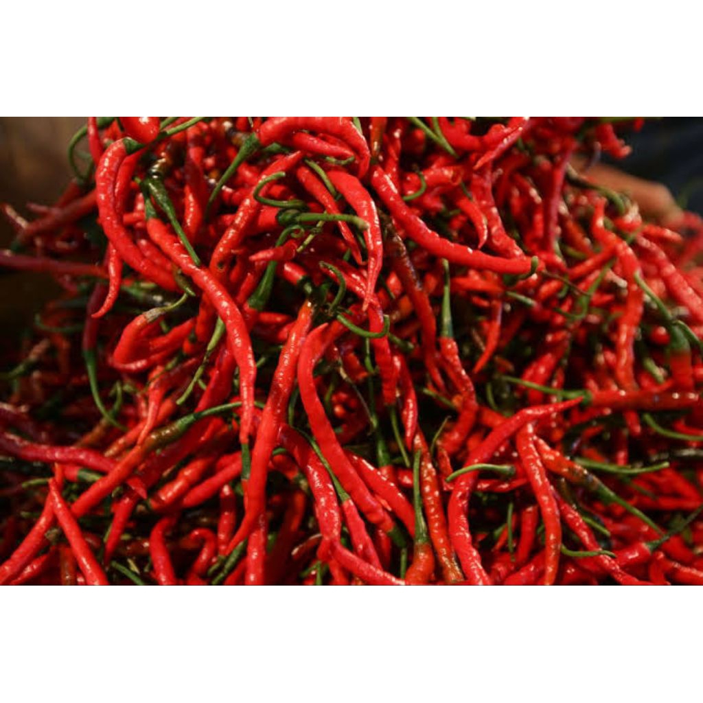 

Cabe Merah Keriting Cabai Merah Keriting 250 g