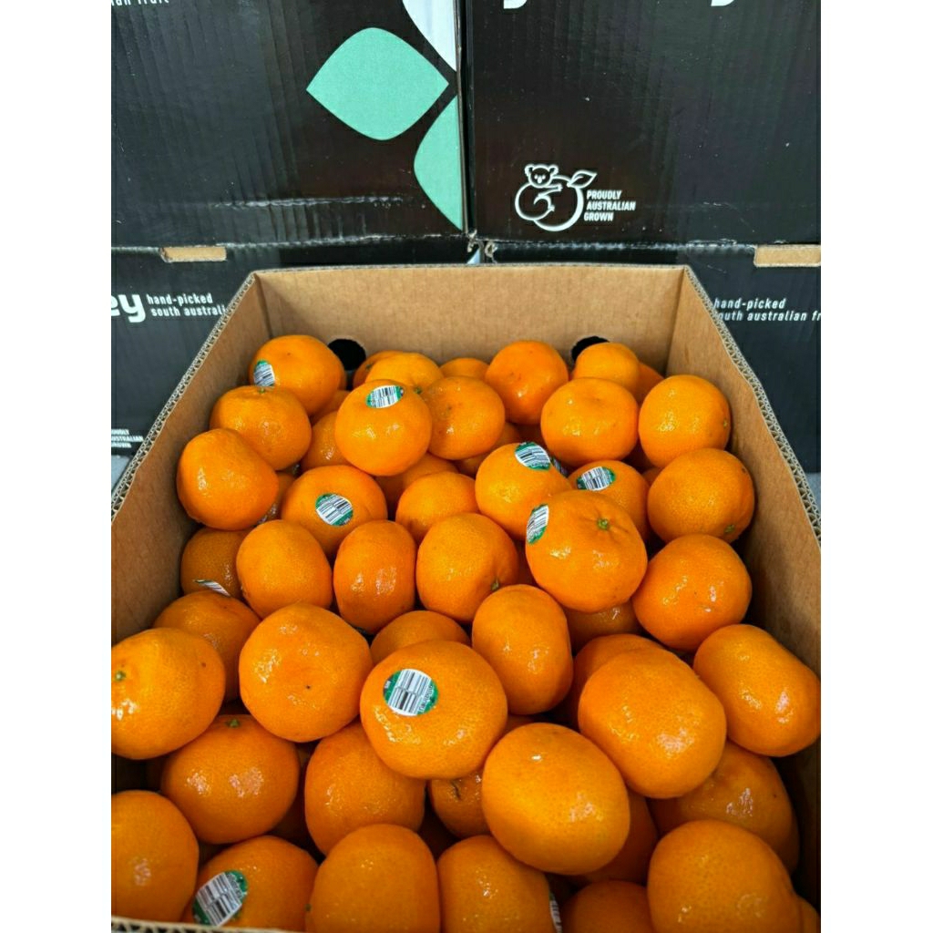 

jeruk imperial shantang 9kg dus