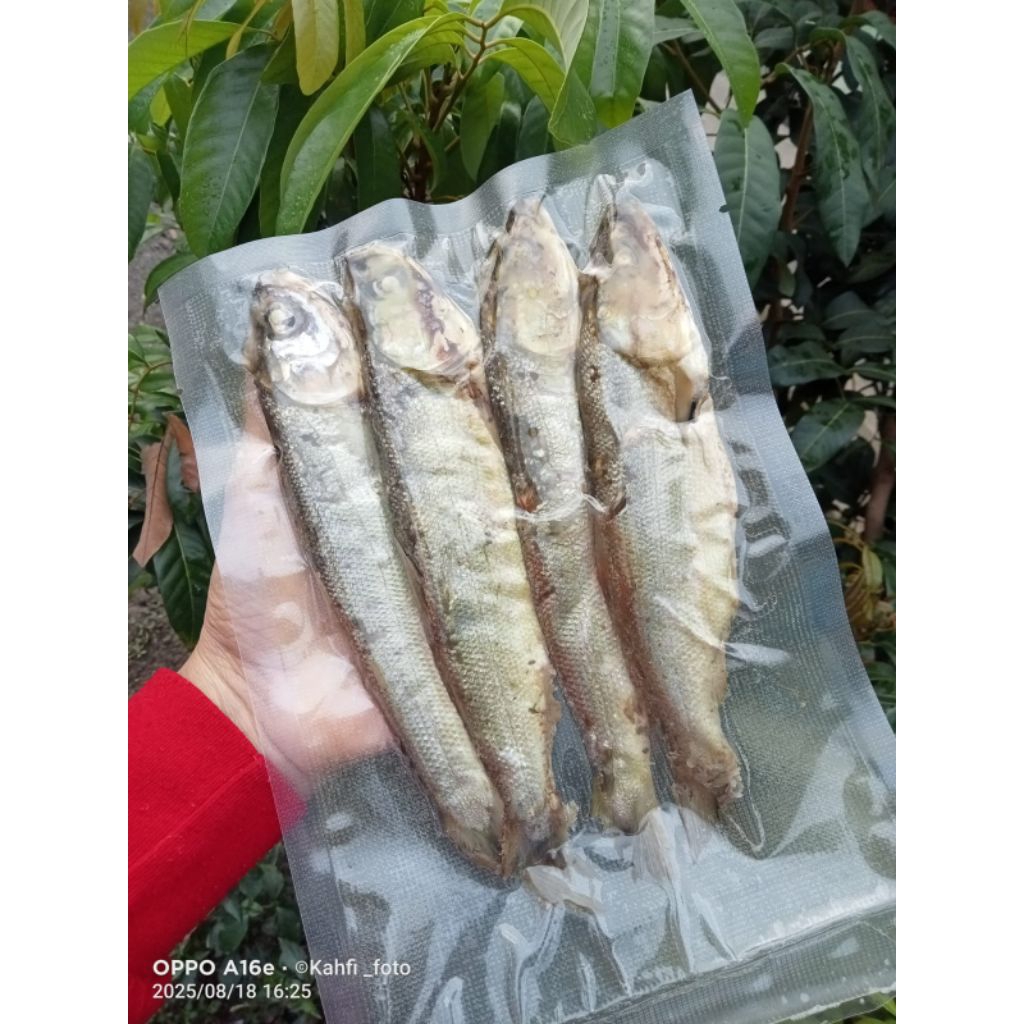 

Bandeng Presto Tulang Lunak Isi 4 Ekor | Khas Semarang| Siap Makan |