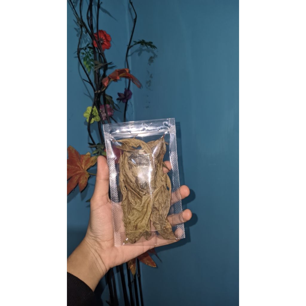 

DAUN SIRSAK KERING BANYAK MANFAAT