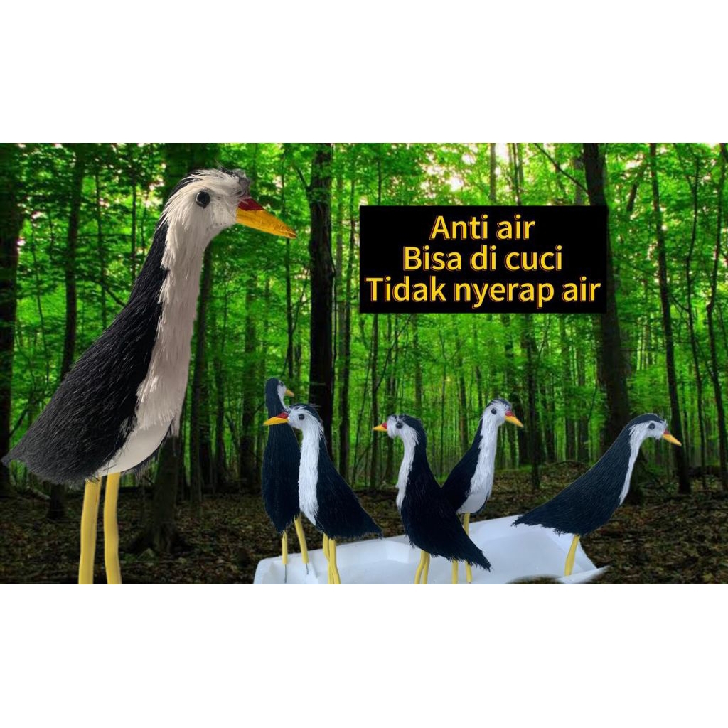 jontrot pikat burung ruak ruak BULU boneka pikat