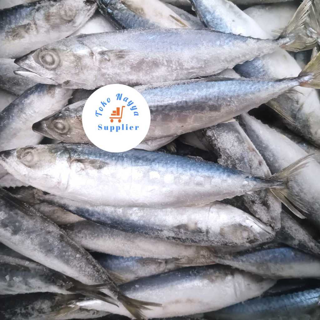 

Ikan Salem Makarel Pasifik Fresh Frozen