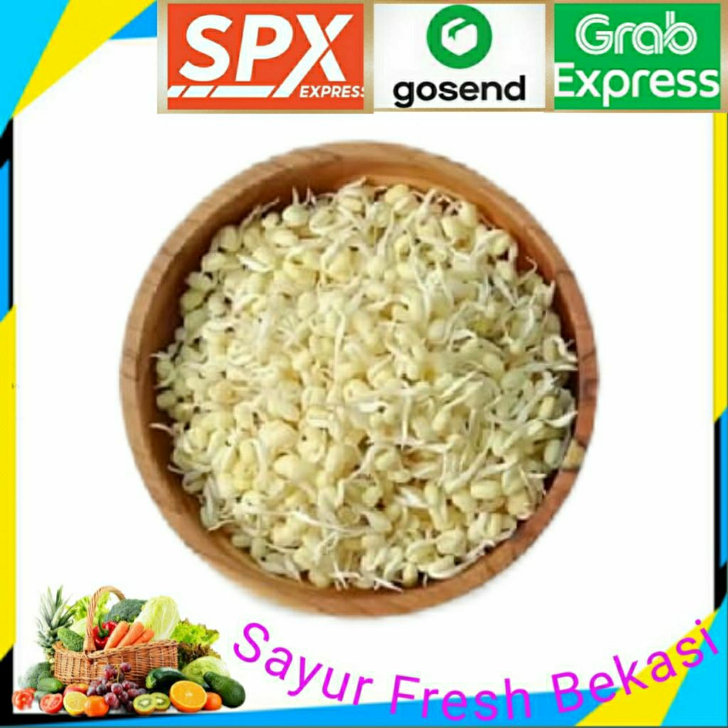 

Toge Kecambah Soto ( 1bks ).