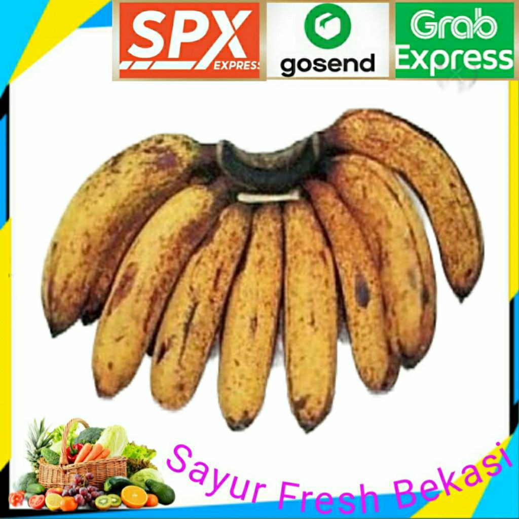 

Pisang Barangan 1 Sisir.