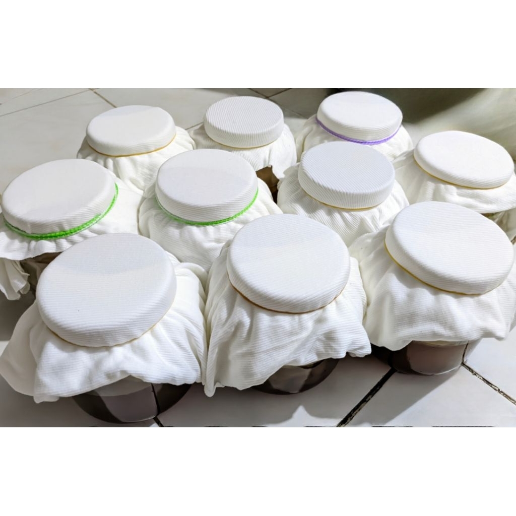 

Paket Bibit Starter Kombucha by LasepCo | Kultur Jamur (SCOBY + Starter Tea 250 ml) Siap Fermentasi