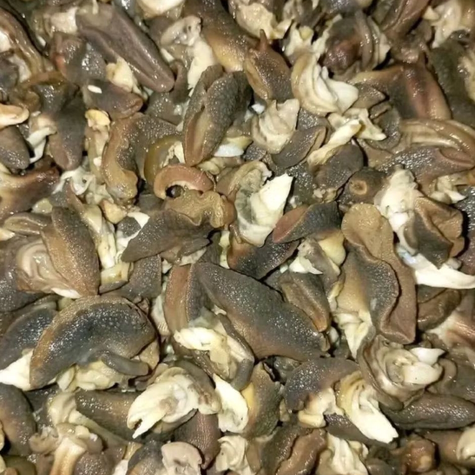 

Bekicot rebusan kemasan vacum/ 1kg / Fresh / goreng setengah matang