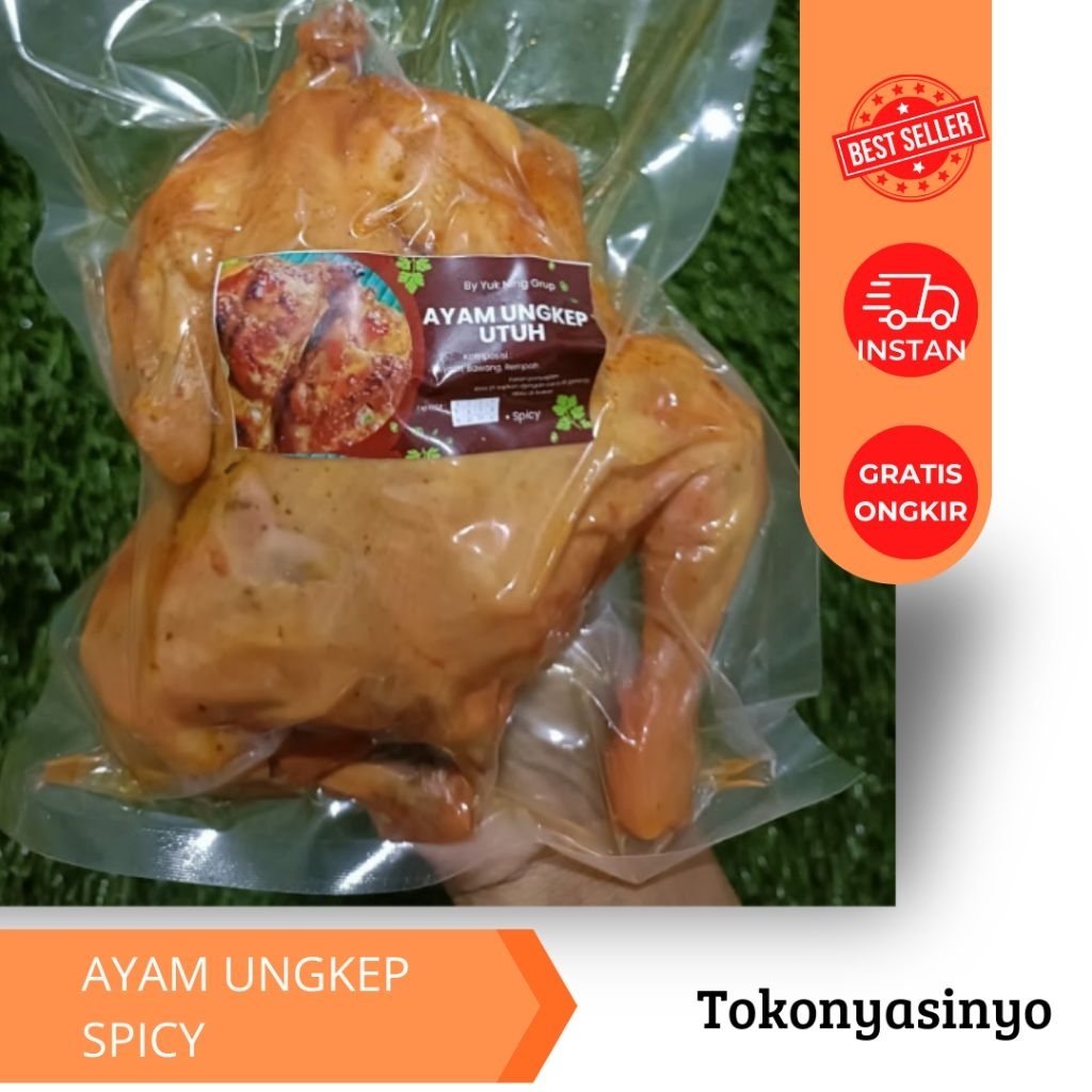 

Ayam Ungkep Utuh Spicy 1ekor