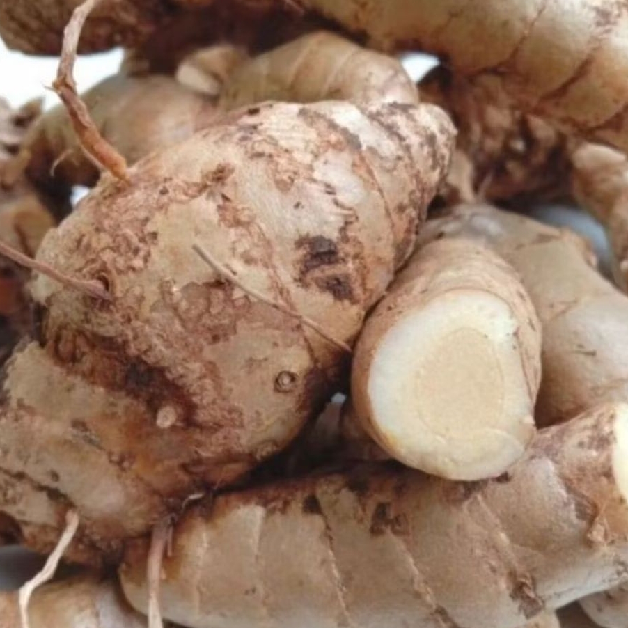 

temu putih segar/kunyit putih herbal 500 gram