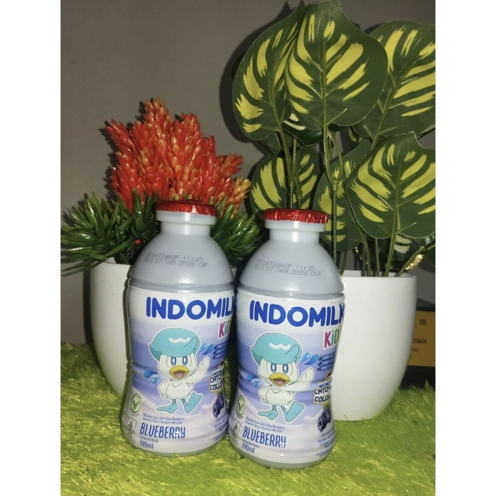 

Indomilk Kids Blueberry 190ml 2pcs