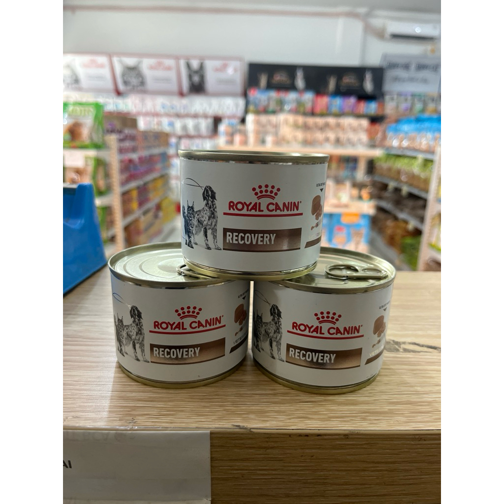 Royal Canin Recovery kaleng 195g / Wetfood Royal Canin/ Recovery