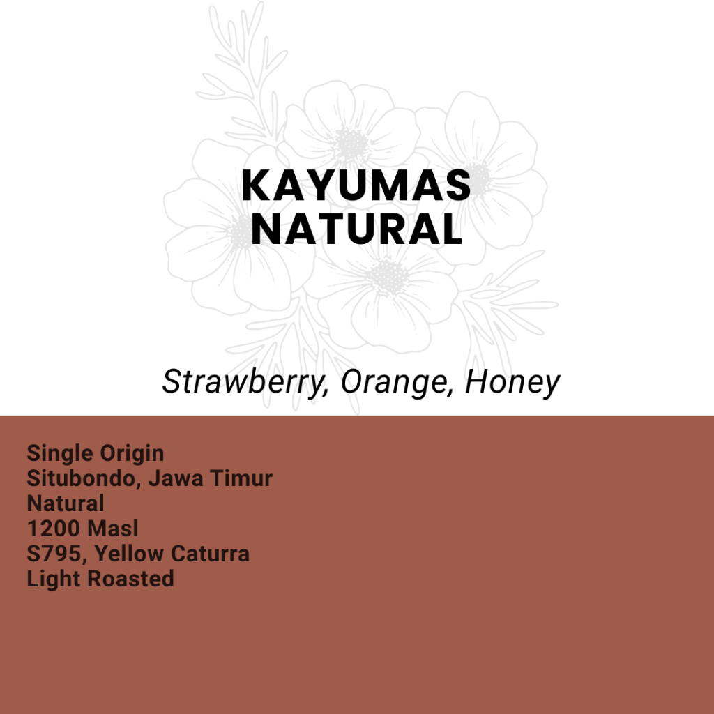 

Kopi Arabika Kayumas Natural - Single Origin Filter