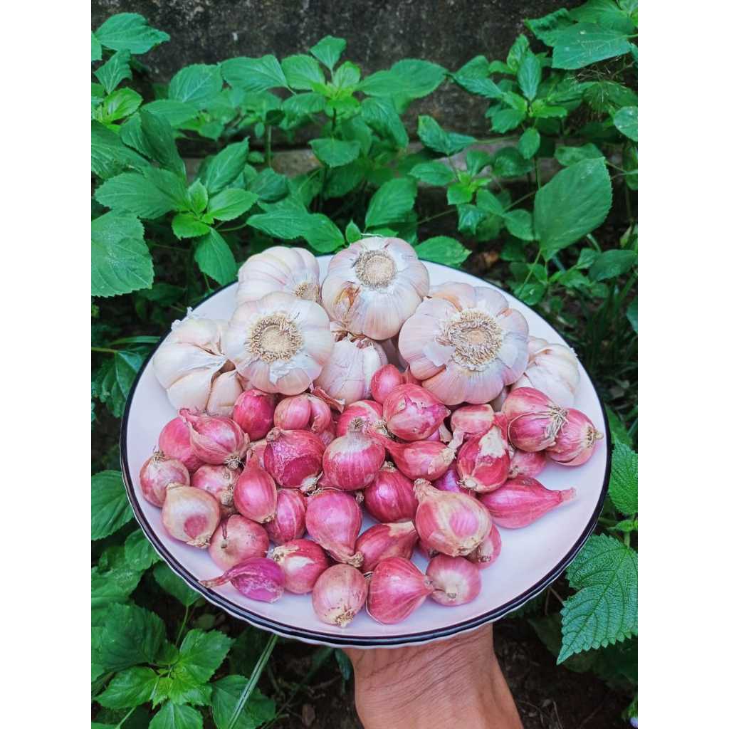 

1 set bawang merah dan bawang putih kemasan 1 kg