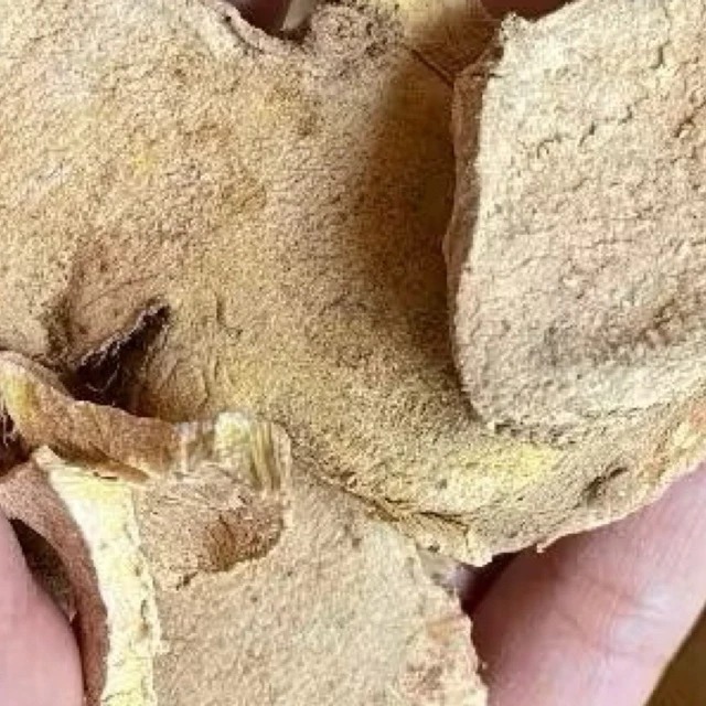 

bengle kering bermanfaat